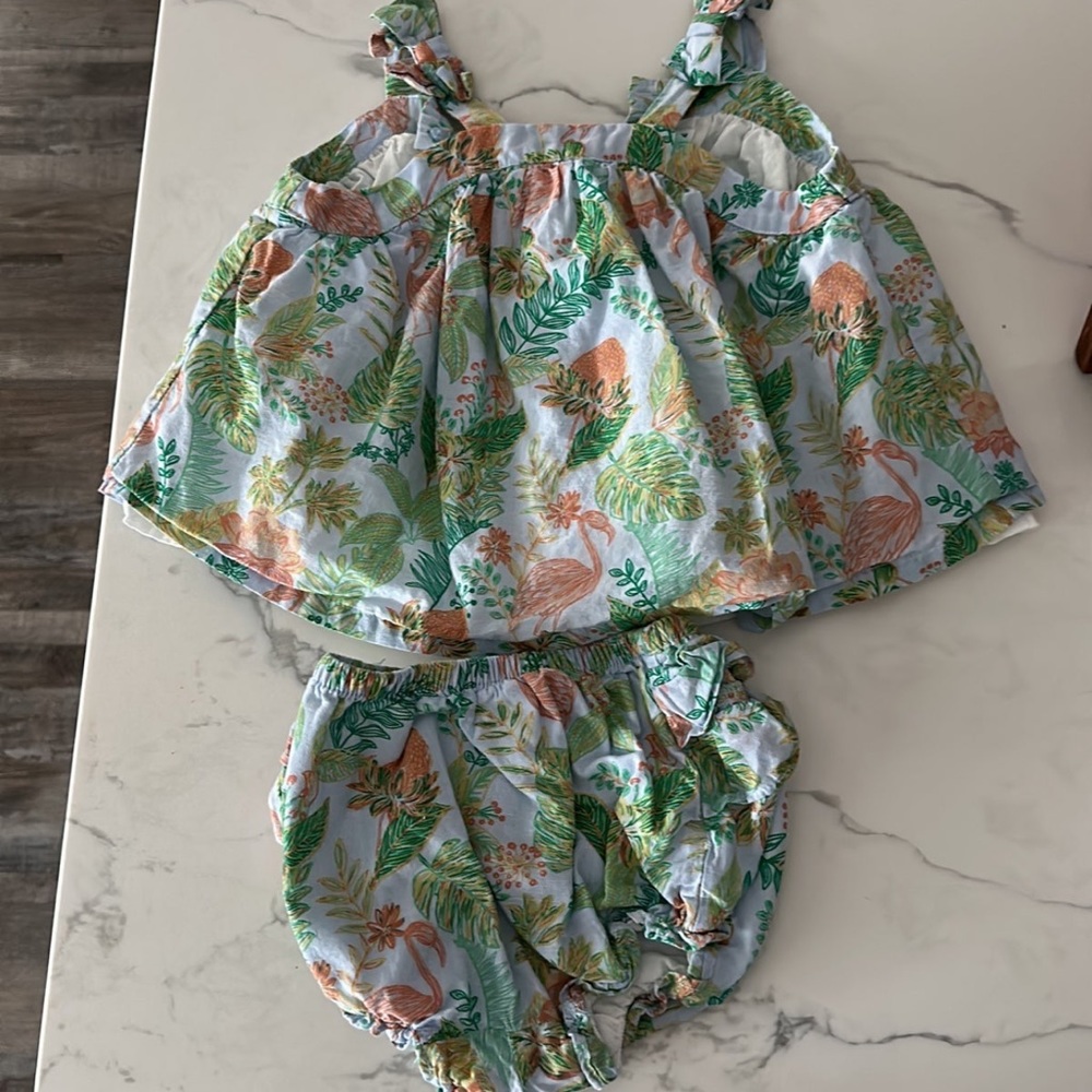 Janie and Jack baby girl outfit 12-18 months
